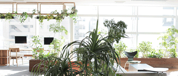 南寧田園風辦公室裝修案例 燦源裝飾分析