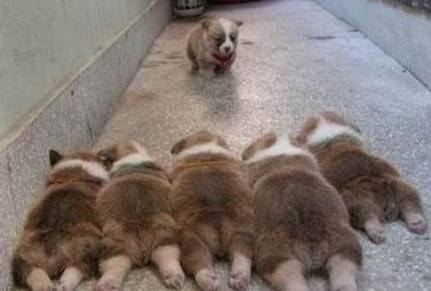 孫宇晨邀請特朗普